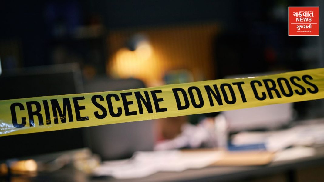 mother killed 3 child and after women attempt to suicide